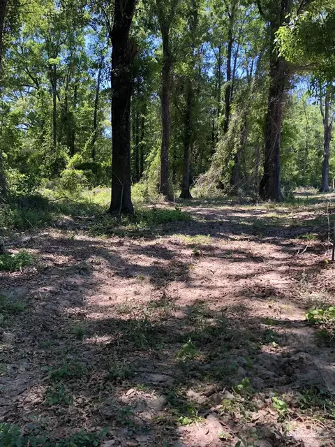 5 Hwy 4, Jay, FL 32565 photo 8