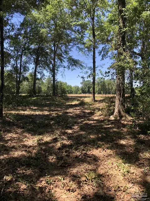 5 Hwy 4, Jay, FL 32565 photo 11