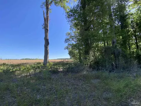 5 Hwy 4, Jay, FL 32565 photo 19