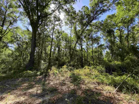 5 Hwy 4, Jay, FL 32565 photo 21