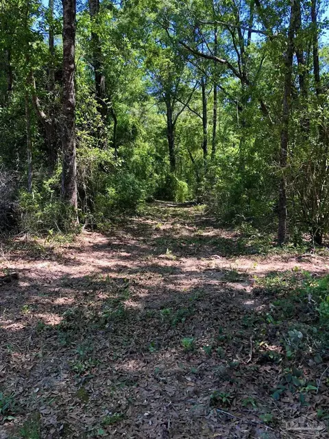 5 Hwy 4, Jay, FL 32565 photo 7