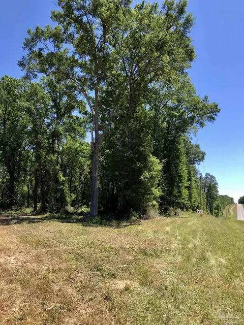 5 Hwy 4, Jay, FL 32565 photo 10