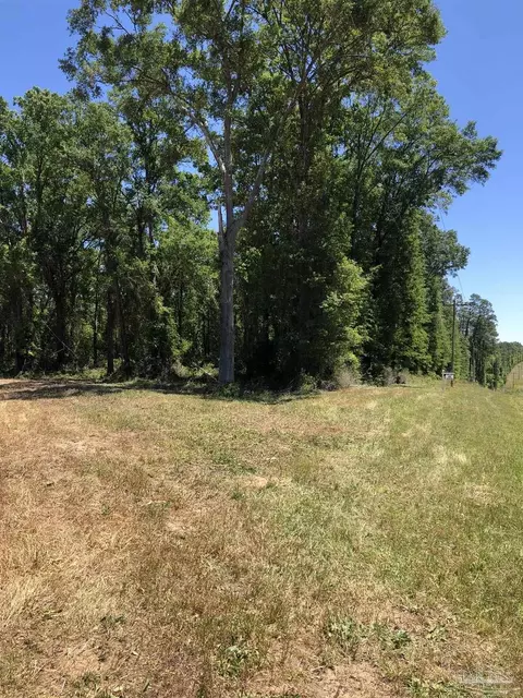 5 Hwy 4, Jay, FL 32565 photo 12