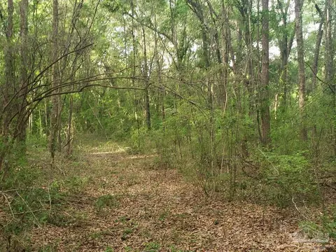 01 Sanders St, Milton, FL 32570