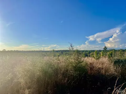 lot42 Buck Chase Ln, Pace, FL 32571 photo 3
