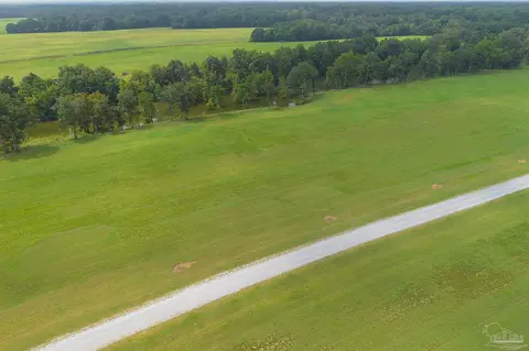 317 Judge Greene Pl #LOT 41, Greensboro, AL 36744