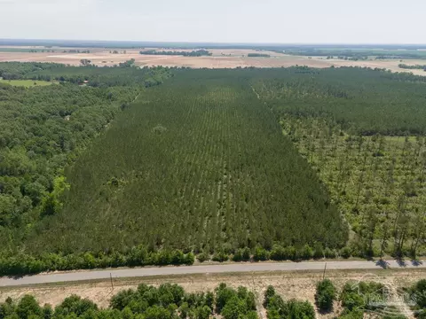 1 Bud Diamond Rd, Jay, FL 32565 photo 21