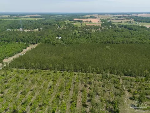 1 Bud Diamond Rd, Jay, FL 32565 photo 13