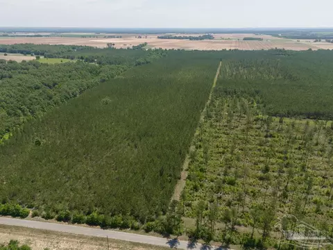 1 Bud Diamond Rd, Jay, FL 32565 photo 16