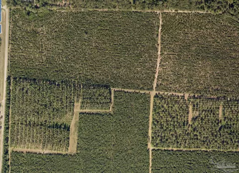 1 Bud Diamond Rd, Jay, FL 32565 photo 2