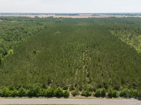 1 Bud Diamond Rd, Jay, FL 32565 photo 17