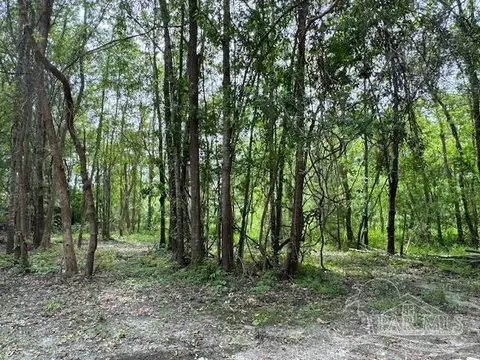 7228 Evans Way, Milton, FL 32583 photo 6