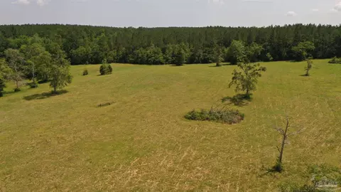 lot1 River Annex Rd, Cantonment, FL 32533