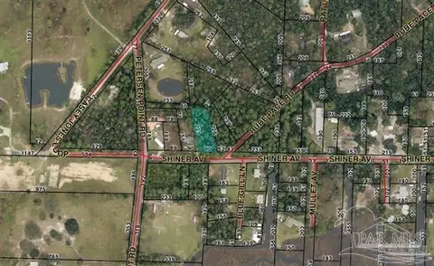 0 Shiner Ave, Milton, FL 32583 photo 2
