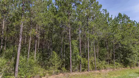 0000 Greyrock Landing Rd, Pace, FL 32571 photo 6