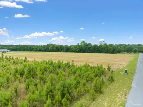 lot301 Dryden Ln, Pace, FL 32571 photo 19