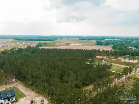 lot3 Sage Forest Ln, Pace, FL 32571 photo 10