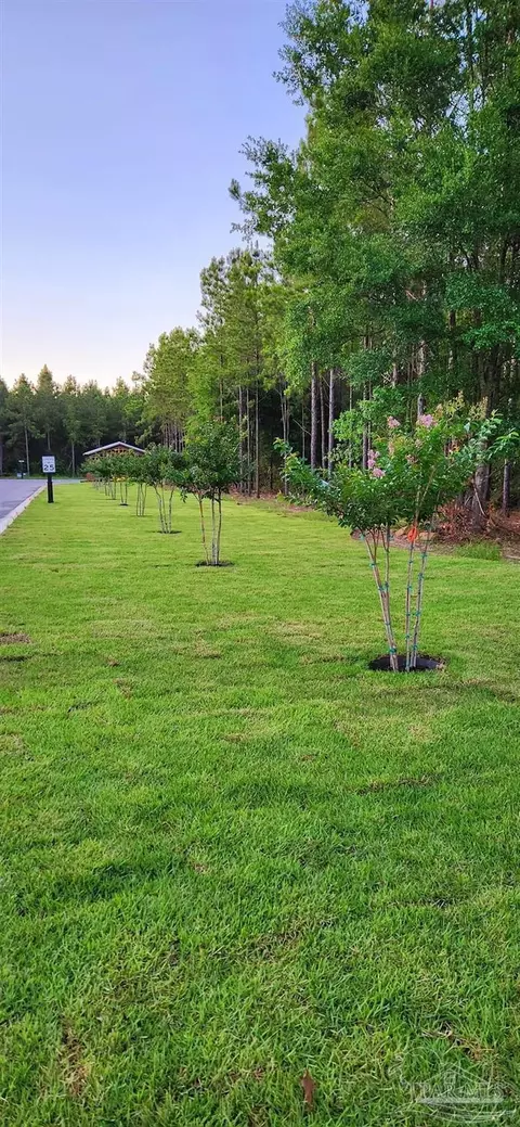 lot3 Sage Forest Ln, Pace, FL 32571 photo 17