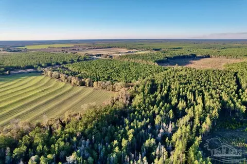 Parcels 1 & 2 Three Hollow Rd, Jay, FL 32565 photo 31