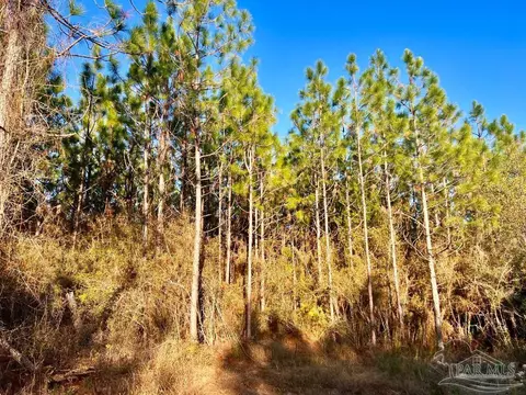 Parcels 1 & 2 Three Hollow Rd, Jay, FL 32565 photo 16