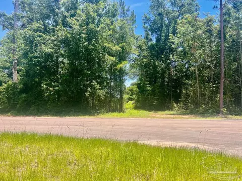 Parcels 1 & 2 Three Hollow Rd, Jay, FL 32565 photo 13