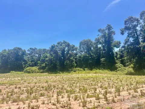 Parcels 1 & 2 Three Hollow Rd, Jay, FL 32565 photo 19