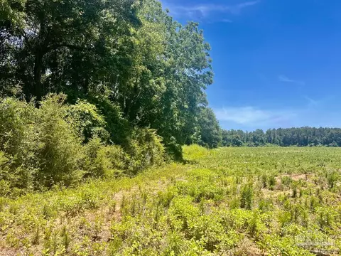 Parcels 1 & 2 Three Hollow Rd, Jay, FL 32565 photo 9
