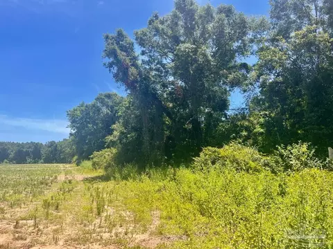 Parcels 1 & 2 Three Hollow Rd, Jay, FL 32565 photo 25