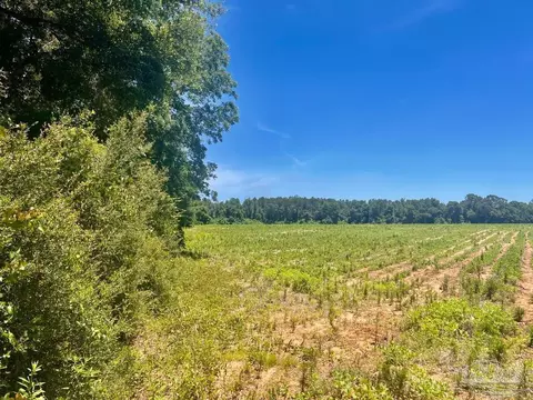 Parcels 1 & 2 Three Hollow Rd, Jay, FL 32565 photo 10