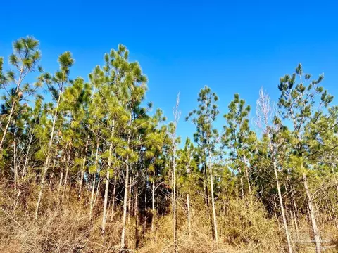 Parcels 1 & 2 Three Hollow Rd, Jay, FL 32565 photo 17