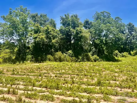 Parcels 1 & 2 Three Hollow Rd, Jay, FL 32565 photo 5