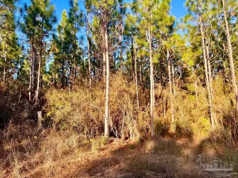 Parcels 1 & 2 Three Hollow Rd, Jay, FL 32565 photo 14
