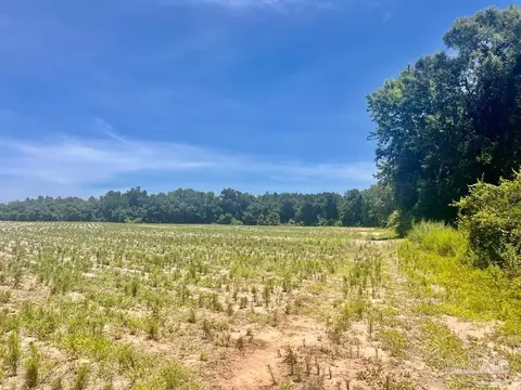 Parcels 1 & 2 Three Hollow Rd, Jay, FL 32565 photo 27
