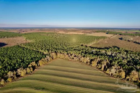 Parcels 1 & 2 Three Hollow Rd, Jay, FL 32565 photo 29