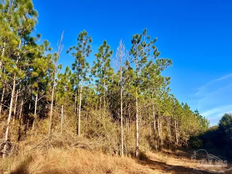 Parcels 1 & 2 Three Hollow Rd, Jay, FL 32565 photo 15