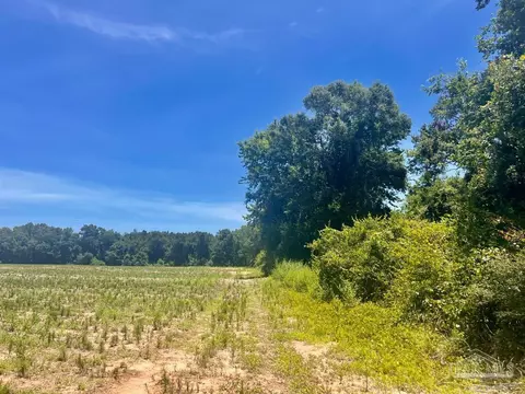 Parcels 1 & 2 Three Hollow Rd, Jay, FL 32565 photo 26