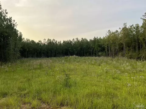 0001 Steele Meadow Dr, Pace, FL 32571
