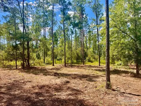 lot41 Buck Chase Ln, Pace, FL 32571 photo 6