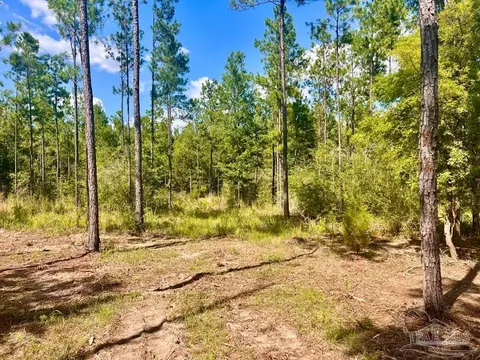 lot41 Buck Chase Ln, Pace, FL 32571 photo 13
