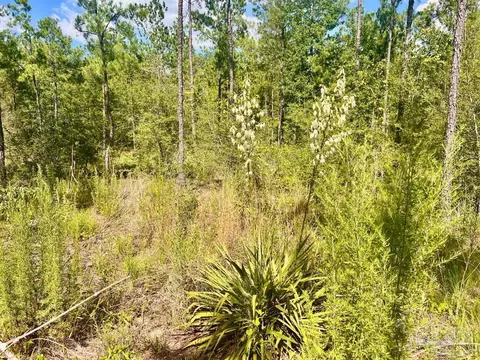 lot41 Buck Chase Ln, Pace, FL 32571 photo 20