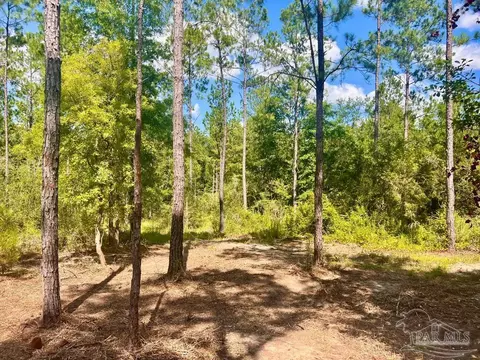 lot41 Buck Chase Ln, Pace, FL 32571 photo 12