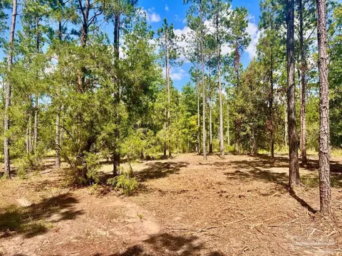 lot41 Buck Chase Ln, Pace, FL 32571 photo 7