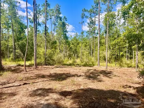 lot41 Buck Chase Ln, Pace, FL 32571 photo 14
