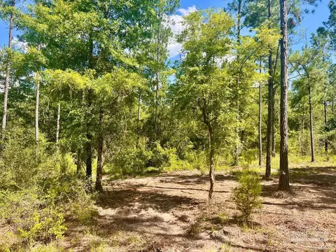 lot41 Buck Chase Ln, Pace, FL 32571 photo 18