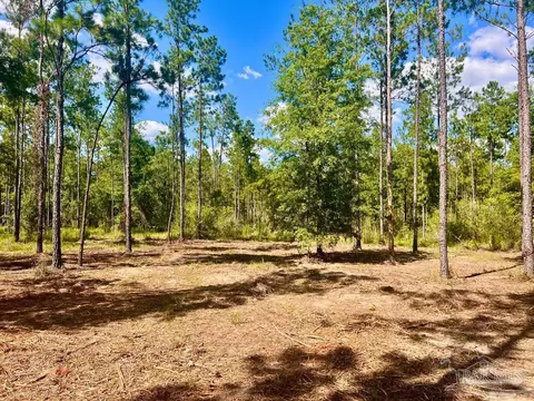 lot41 Buck Chase Ln, Pace, FL 32571 photo 5