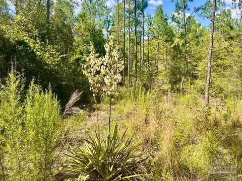 lot41 Buck Chase Ln, Pace, FL 32571 photo 21