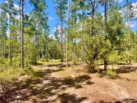 lot41 Buck Chase Ln, Pace, FL 32571 photo 8