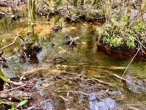 lot41 Buck Chase Ln, Pace, FL 32571 photo 11