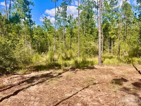 lot41 Buck Chase Ln, Pace, FL 32571 photo 17
