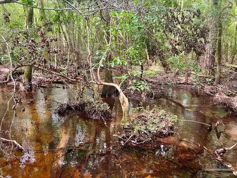 lot41 Buck Chase Ln, Pace, FL 32571 photo 10